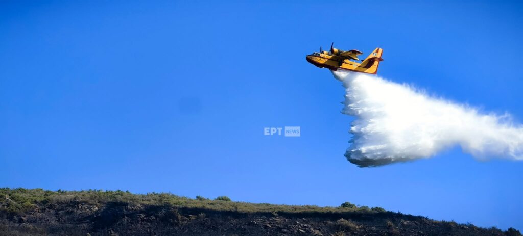 Υπό πλήρη έλεγχο η πυρκαγιά στη Ναύπακτο – Παραμένουν ισχυρές δυνάμεις πυρόσβεσης