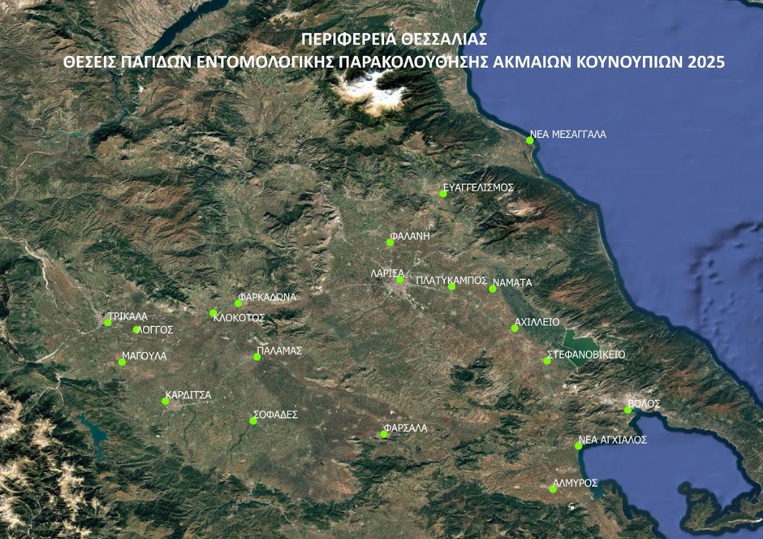 Tι δείχνει η εντομολογική παρακολούθηση στη Θεσσαλία για τα κουνούπια