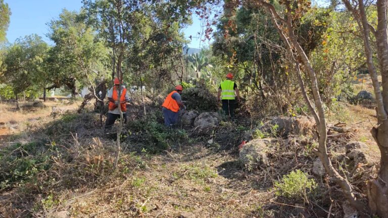 Καλαμάτα: Σε εξέλιξη οι παρεμβάσεις πυροπροστασίας κατοικημένων περιοχών