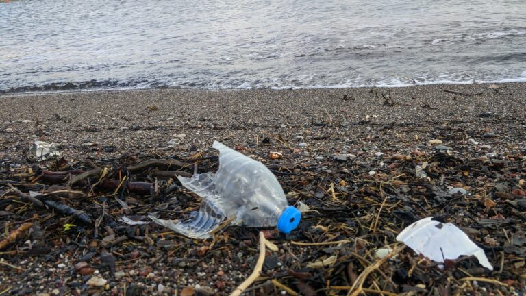 WWF: Νέα καμπάνια για ρύπανση από τις γόπες τσιγάρων