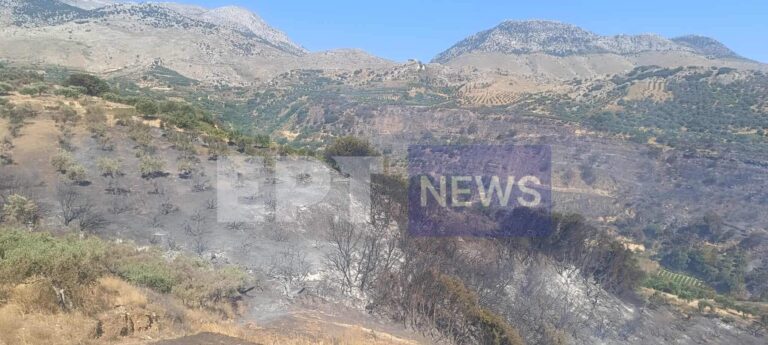 Κρήτη: Φωτιά στο Ηράκλειο, στις φλόγες η περιοχή Κάτω Ασίτες – Ήχησε το 112 (βίντεο)