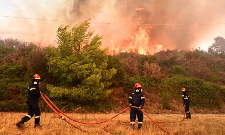 Υψηλός κίνδυνος πυρκαγιάς στη Ροδόπη και τη Δευτέρα 30 Ιουνίου