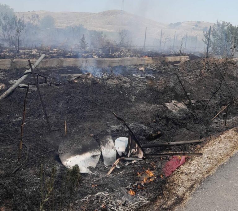 Καρδίτσα: Υπό έλεγχο η πυρκαγιά στη Συκεώνα του δήμου Παλαμά