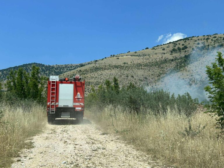 Υπό έλεγχο η φωτιά στην περιοχή Οινιάδες Αιτωλοακαρνανίας