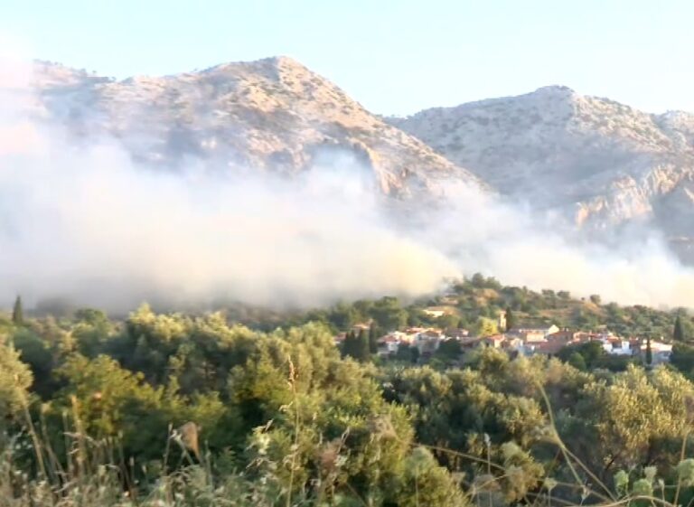 Χίος: Στάχτη χιλιάδες στρέμματα- Σε ύφεση η πυρκαγιά