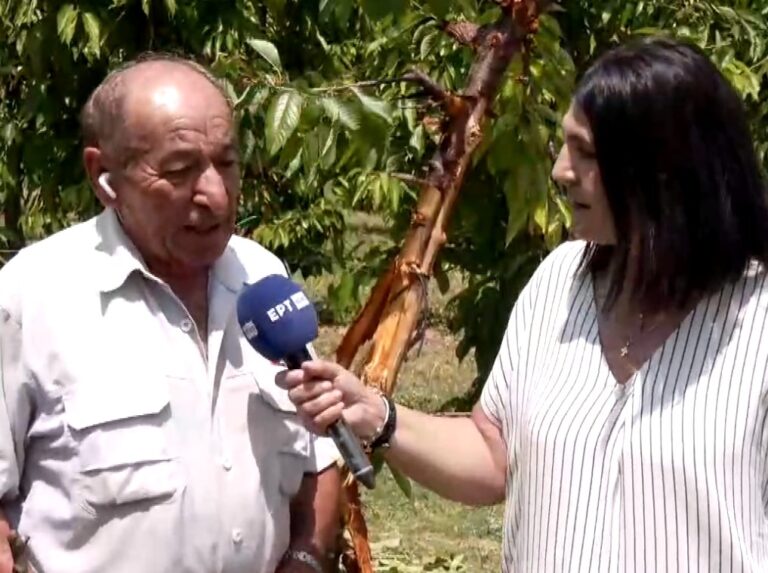 Μεσόβουνο Εορδαίας: Αγρότης βρέθηκε πρόσωπο με πρόσωπο με αρκούδα στο χωράφι