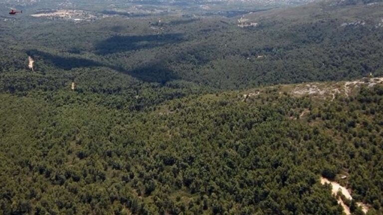 Θεσσαλονίκη: Υψηλός ο κίνδυνος πυρκαγιάς- Απαγόρευση κυκλοφορίας στο Σέιχ Σου