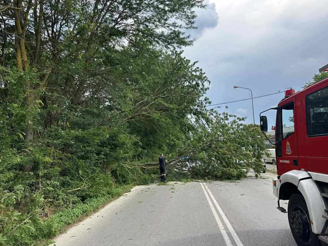 Πτώση δένδρου στην Ε.Ο. Σερρών – Νιγρίτας – Αποκαταστάθηκε η κυκλοφορία