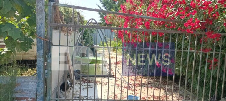 Σέρρες: Τι έδειξε η ιατροδικαστική εξέταση για το θάνατο του 64χρονου Βούλγαρου στα Νέα Κερδύλλια – Δικογραφία για ανθρωποκτονία