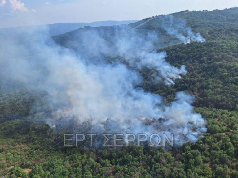 Σέρρες: Υπό έλεγχο η φωτιά στο Κεφαλοχώρι – Σε επιφυλακή οι πυροσβέστες υπό το φόβο αναζωπυρώσεων (φωτογραφίες)