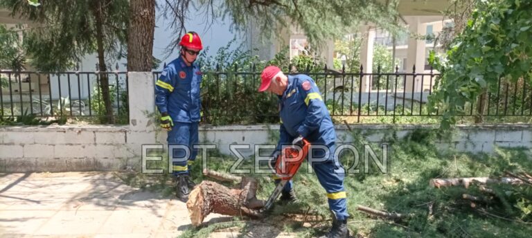 Σέρρες: Σε ετοιμότητα η Πυροσβεστική – Κοπές κλαδιών και σήμερα στην πόλη