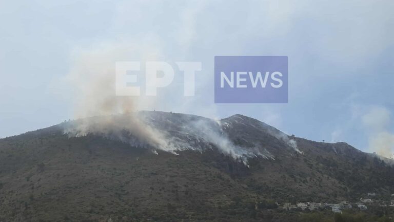 Χίος: Συνελήφθη γυναίκα υπήκοος Γεωργίας για την φωτιά στα Λεπτόποδα