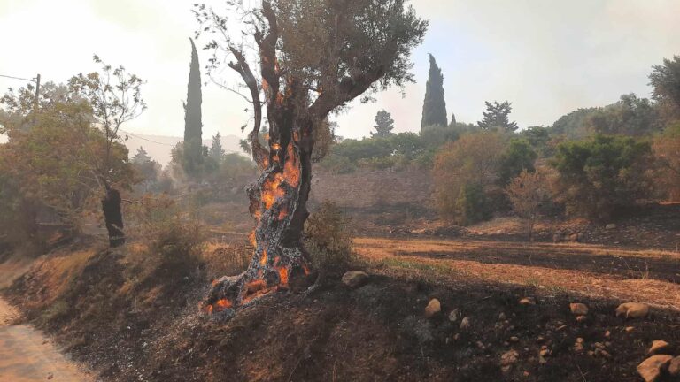 Από τον Ιούνιο έχουν ξεσπάσει 1050 πυρκαγιές σε όλη την Ελλάδα – Πάνω από 90 αυτόφωρα κατά τη διάρκεια αντιπυρικής περιόδου: Οι ειδικοί μιλούν στο ΕΡΤΝews