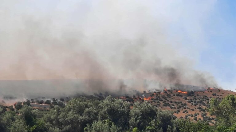 Πυρκαγιά σε δασική έκταση στην Βαλανιδούσσα Πρέβεζας -Ήχησε το 112 – Σε ύφεση η φωτιά