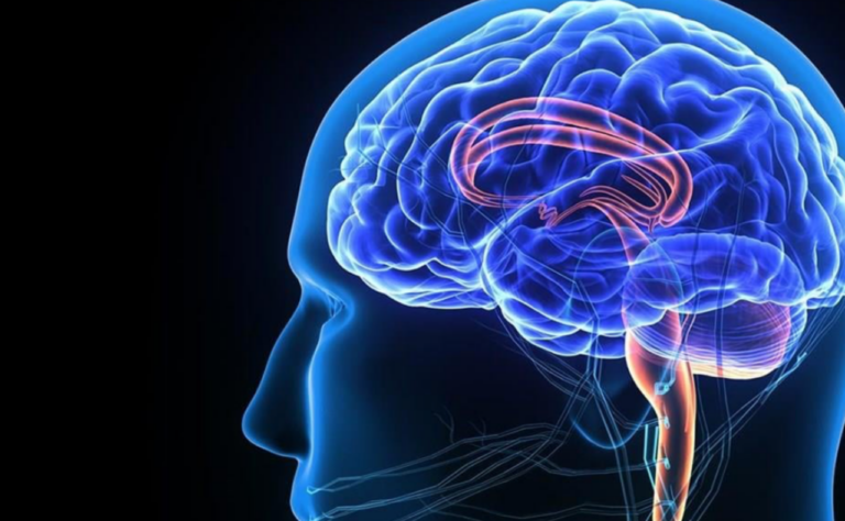Brainnobrain: Τρίτος πανελλήνιος διαγωνισμός ανάπτυξης ευφυίας