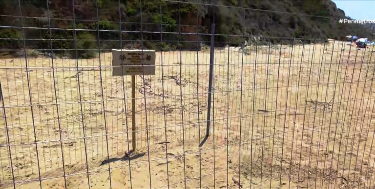 Οι παραλίες της Κέρκυρας, τόποι ωοτοκίας για τις χελώνες καρέτα- καρέτα