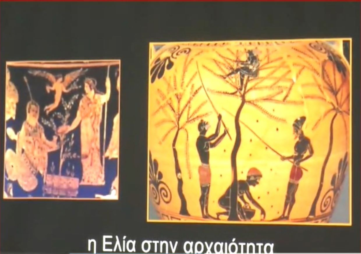 Εκεί όπου ο «χρυσός ρέει» από τα κλαδιά της ελιάς