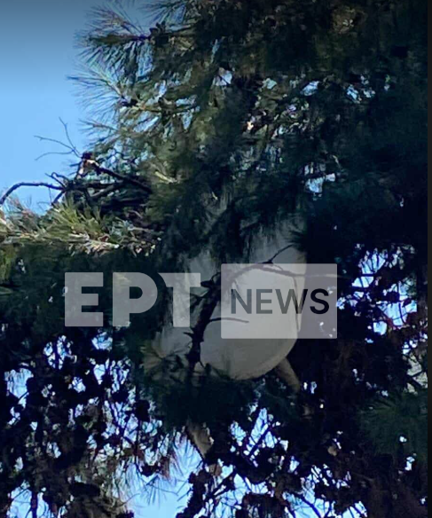Θεσσαλονίκη: Τραπέζι… προσγειώθηκε σε δέντρο στην Καλαμαριά