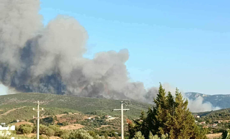 Φωτιά τώρα – Ωρωπός: Καίγεται αναγεννημένο πευκοδάσος που είχε ξανακαεί, δήλωσε ο πρ. Αξιωματικών Πυροσβεστών