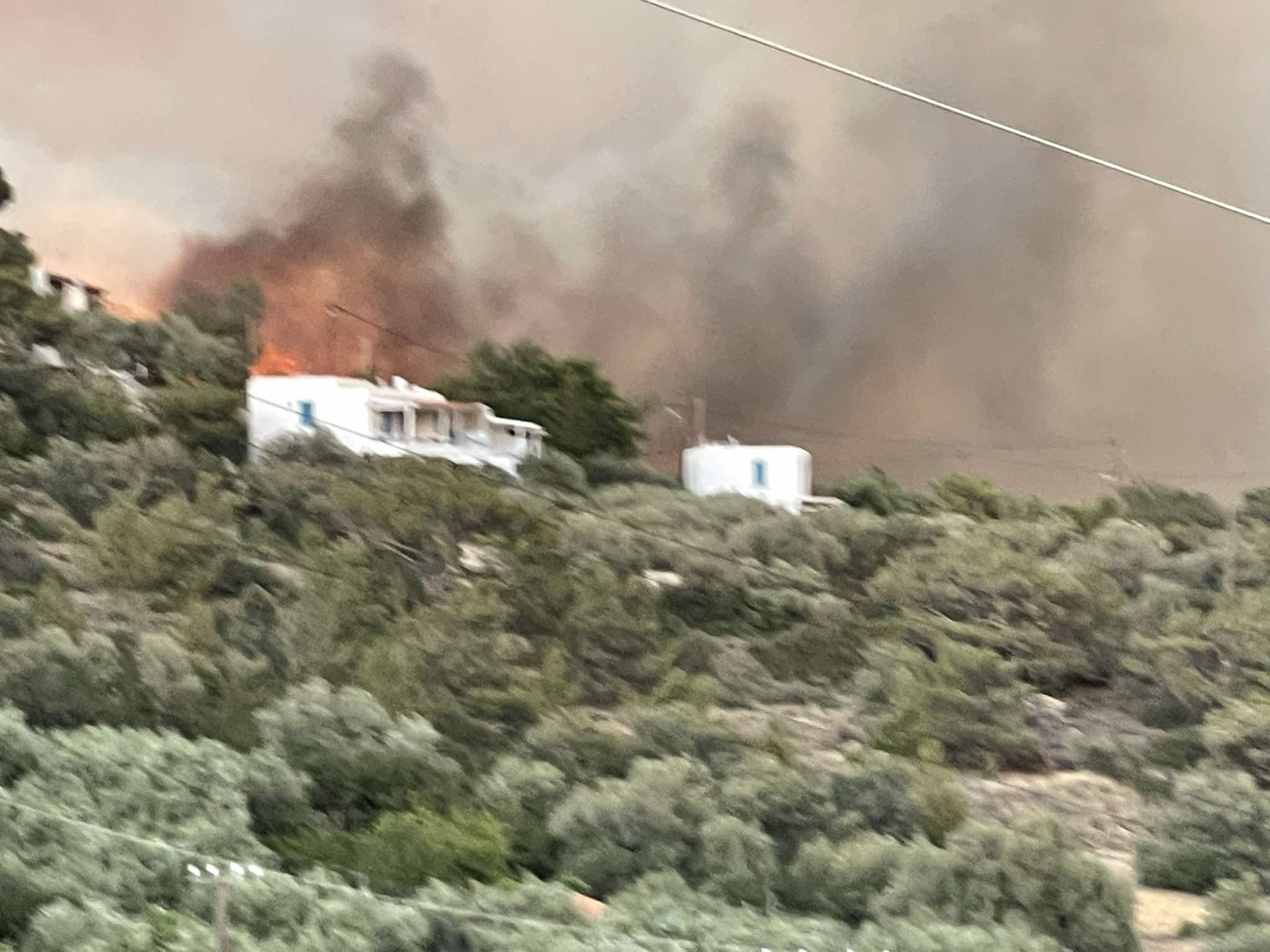 Φωτιά στην Αχλιά Λασιθίου: Μάχη με τις φλόγες – Πλησιάζουν σπίτια και ξενοδοχεία