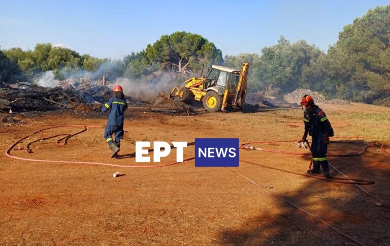 Υπό έλεγχο η φωτιά στο νησί Βίδα