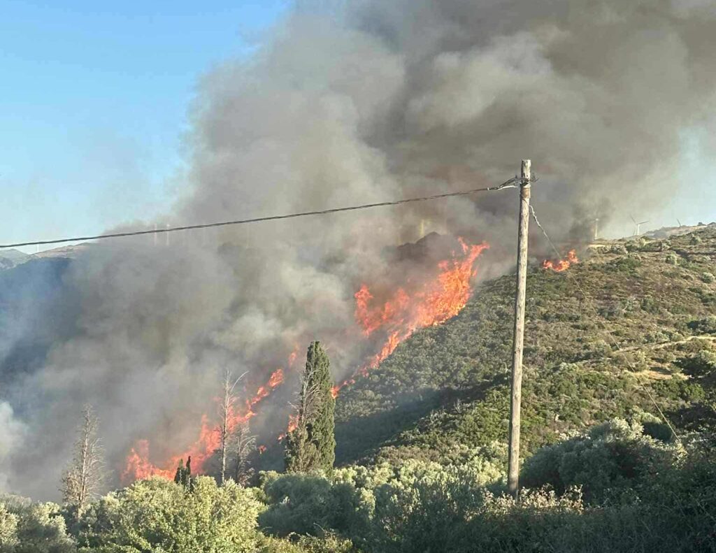 Φωτιά τώρα στα Μεσοχώρια Εύβοιας - Επιχειρούν δυνάμεις της πυροσβεστικής - ertnews.gr
