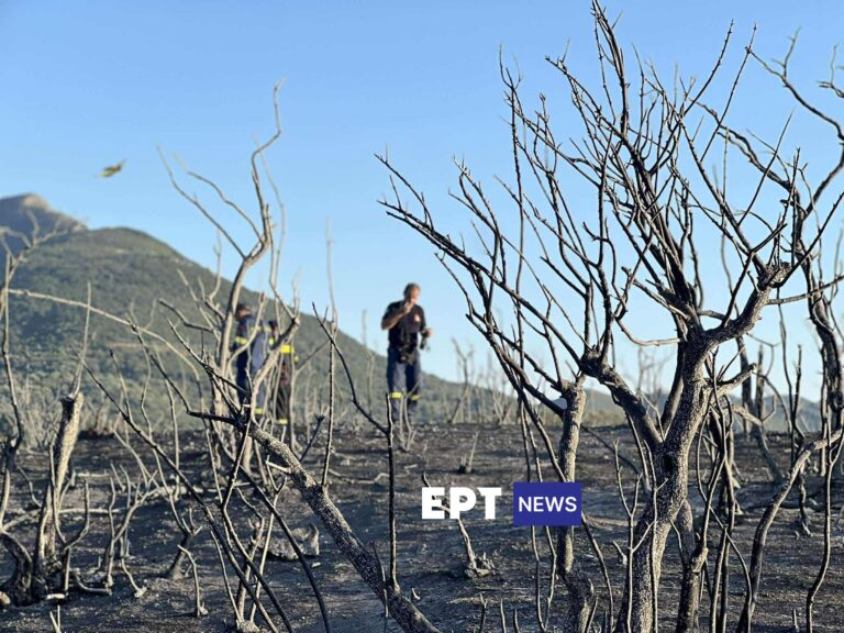 Μεσσηνία: Μάχη με διάσπαρτες μικρές εστίες