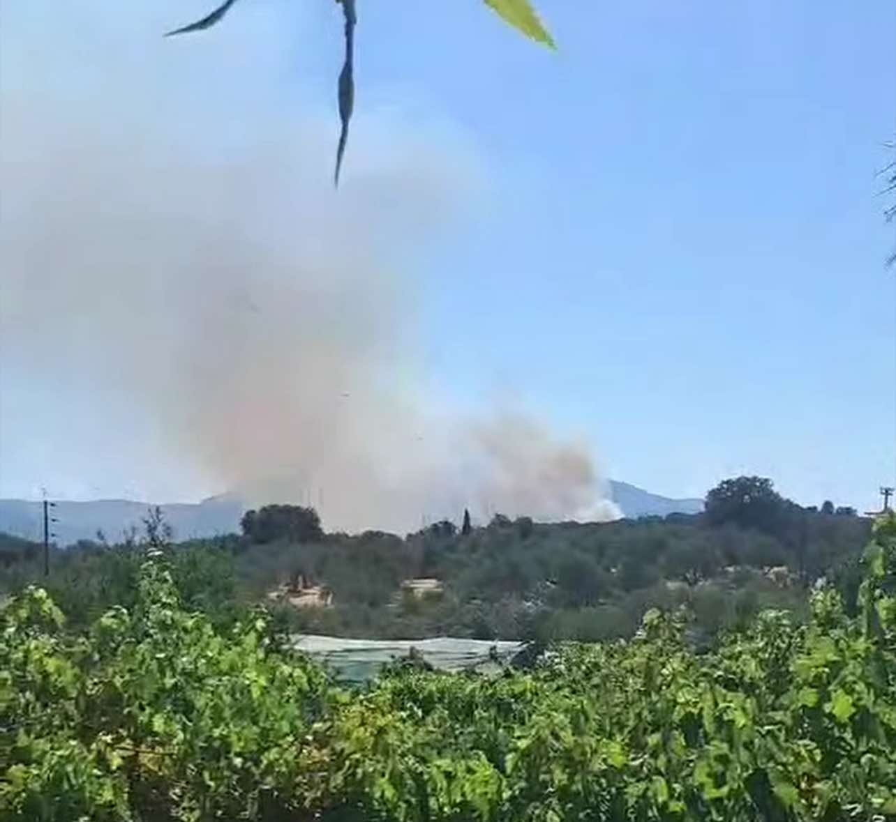Μεσσηνία: Φωτιά στο Νεοχώρι Μελιγαλά – Κινητοποίηση της Πυροσβεστικής