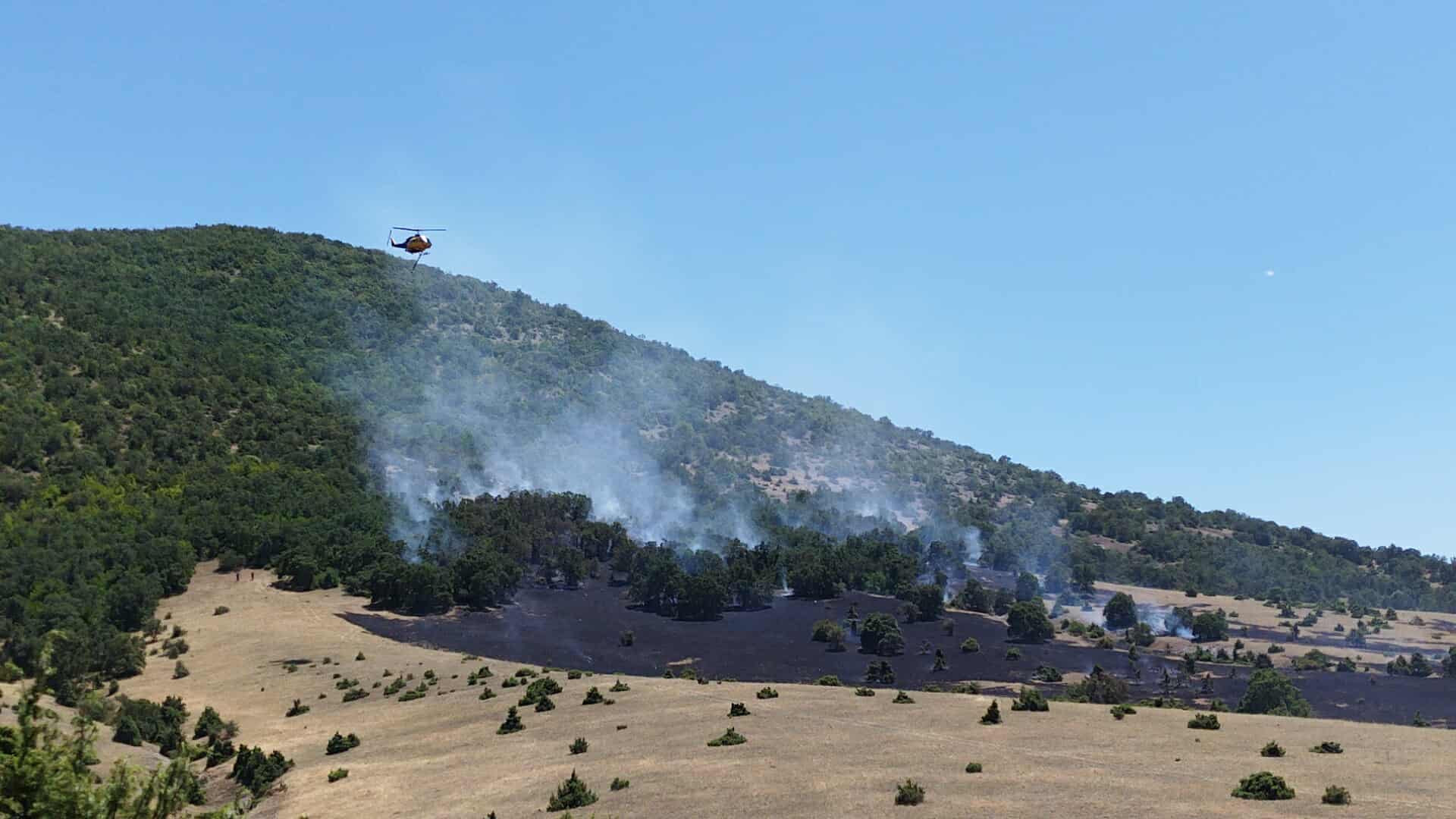Περιορίστηκε η φωτιά στο Δρέπανο Κοζάνης (video)