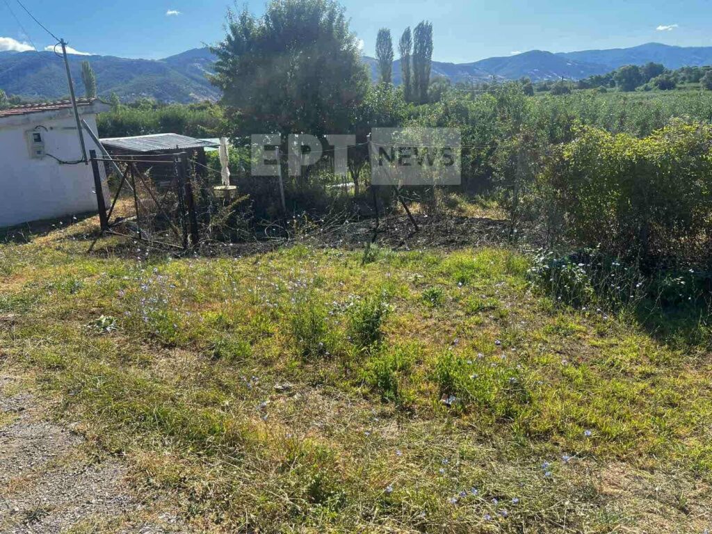Καστοριά: Πυρκαγιά στη διασταύρωση Κεφαλαρίου – Κινδύνεψαν μια οικία και γεωργικές εκτάσεις με μήλα