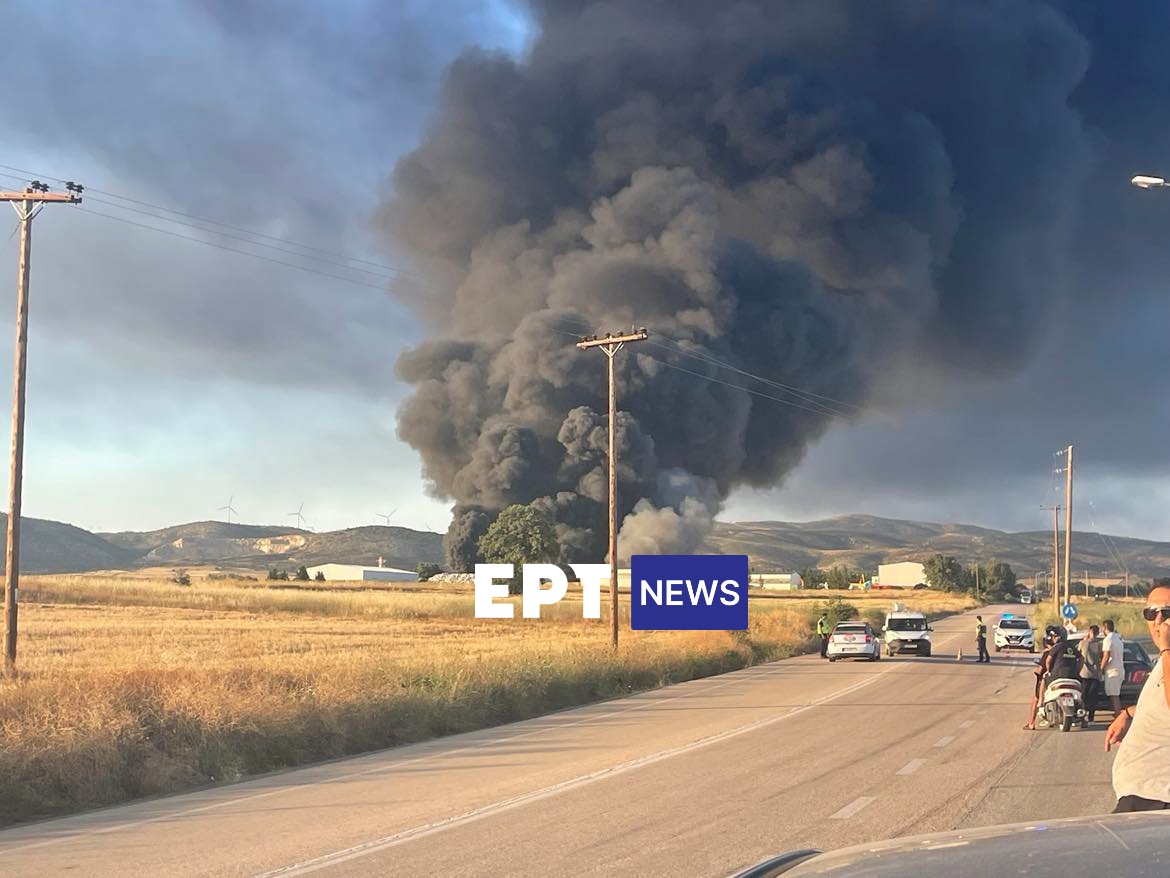 Φωτιά σε εταιρεία ανακύκλωσης στην Αμφιτρίτη Αλεξανδρούπολης (βίντεο)