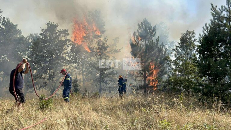 Σε πλήρη εξέλιξη η πυρκαγιά στην Ιεροπηγή Καστοριάς – Ήχησε το 112 – Στη μάχη κατάσβεσης εναέρια μέσα