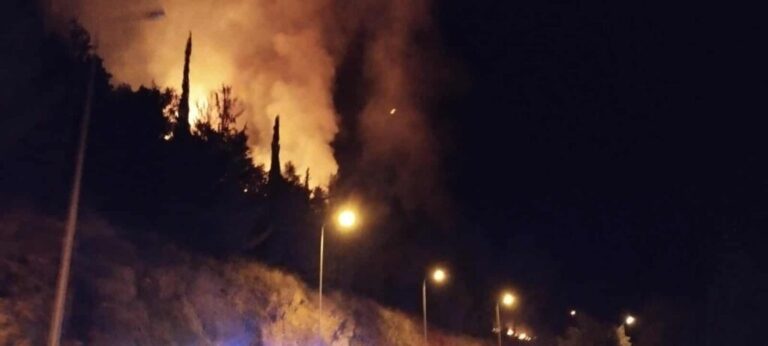 Ιωάννινα: Επίκειται ο καθαρισμός του δάσους των Λιγκιάδων