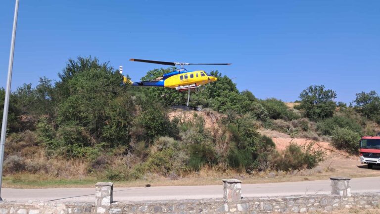 Υπό μερικό έλεγχο η πυρκαγιά στην περιοχή Αγ. Γεωργίου της Αρχαίας Ολυμπίας στις πλαγιές του Ερύμανθου