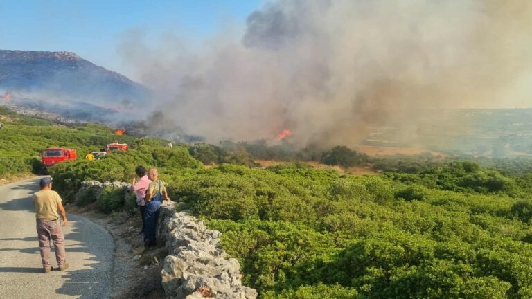 Φωτιά τώρα – Κύθηρα: Αναζωπυρώσεις καθ’ όλη τη διάρκεια της νύχτας – Έκκληση για εναέρια μέσα στο ΕΡΤNews από τον αντιδήμαρχο του νησιού – Νέο 112 νωρίς το πρωί