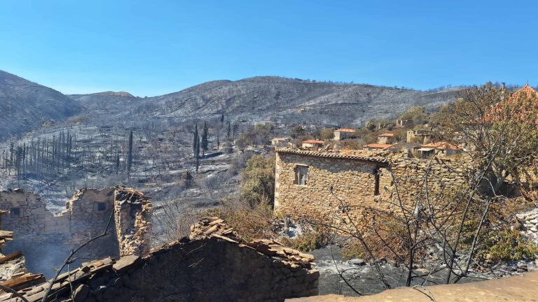 Μεσσηνία: Μάχη με τις αναζωπυρώσεις στην περιοχή του Αετού – Εικόνες καταστροφής,  με καμένα σπίτια, καλλιέργιες και δάσος (βίντεο)