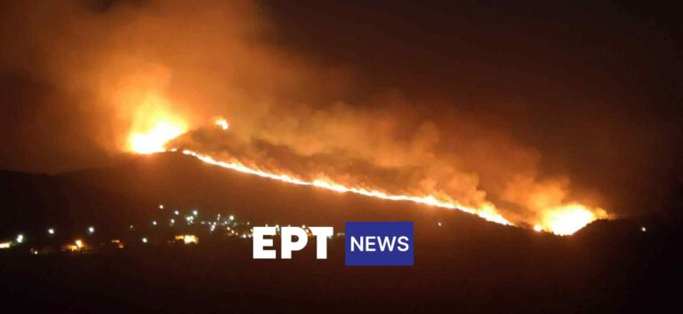 Φωτιά τώρα στη Μεσσηνία – Πλησιάζει το χωριό Αητός (βίντεο)