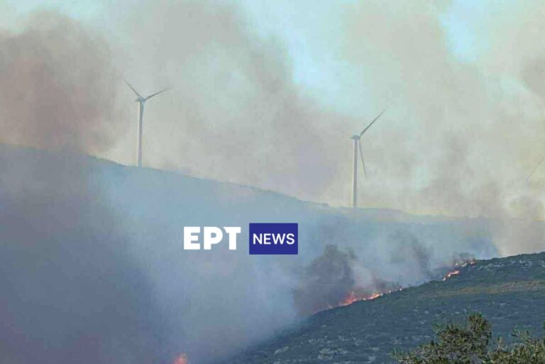 Λακωνία: Δασική φωτιά στους Μολάους – Στη «μάχη» και εναέρια μέσα