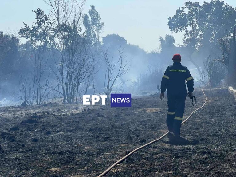 Σβήστηκε άμεσα η φωτιά στη Νέα Σαμψούντα Πρεβέζης