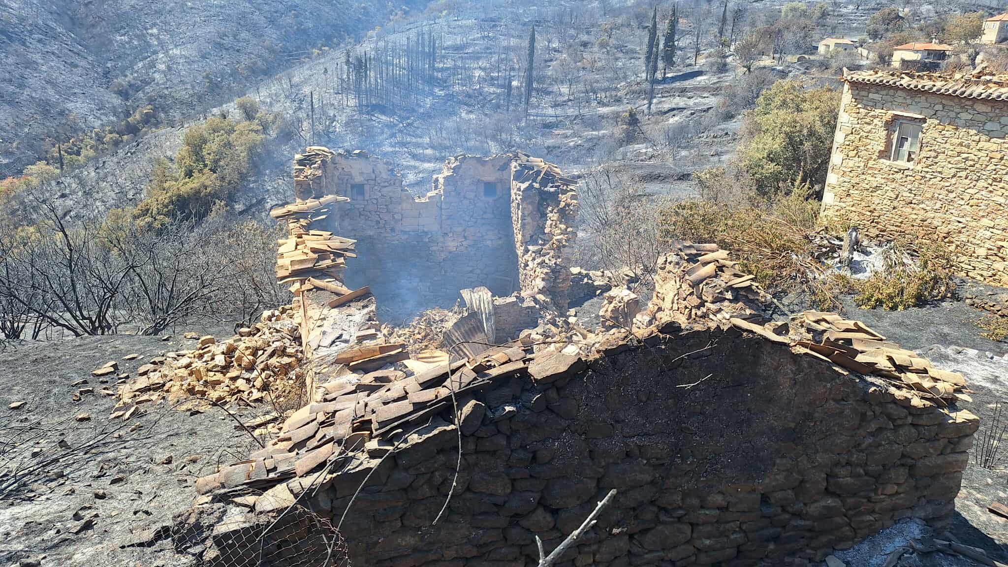 Αδιάκοπη επιχείρηση πυρόσβεσης για 3ο 24ωρο στην Πτολεμαΐδα – Αποκαρδιωτικές εικόνες γκρίζου σε Κρυονέρι, Κύθηρα, Μεσσηνία – Αυτοψίες για την καταγραφή των ζημιών