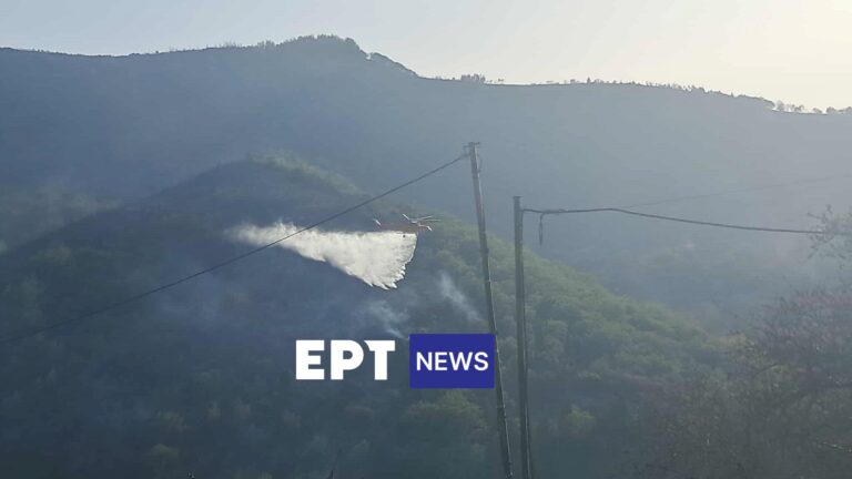 Μεσσηνία: Αναζωπυρώσεις στις πλαγιές του Μοναστηρίου – Στη μάχη τα εναέρια μέσα
