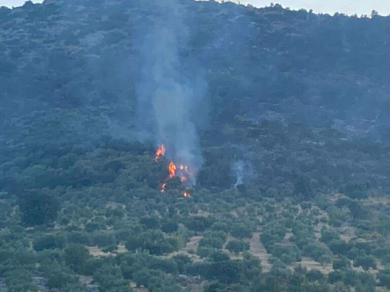 Μεσσηνία: Βελτιωμένη η εικόνα της φωτιάς στη Μεταμόρφωση