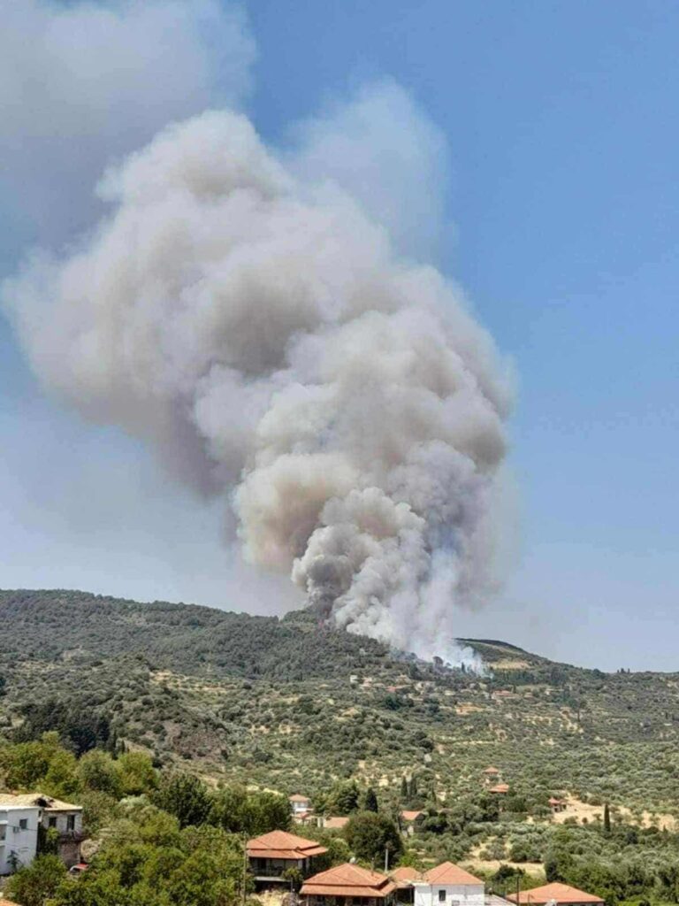 Μεσσηνία: Μεγάλη κινητοποίηση για φωτιά στην Πολυθέα Τριφυλίας