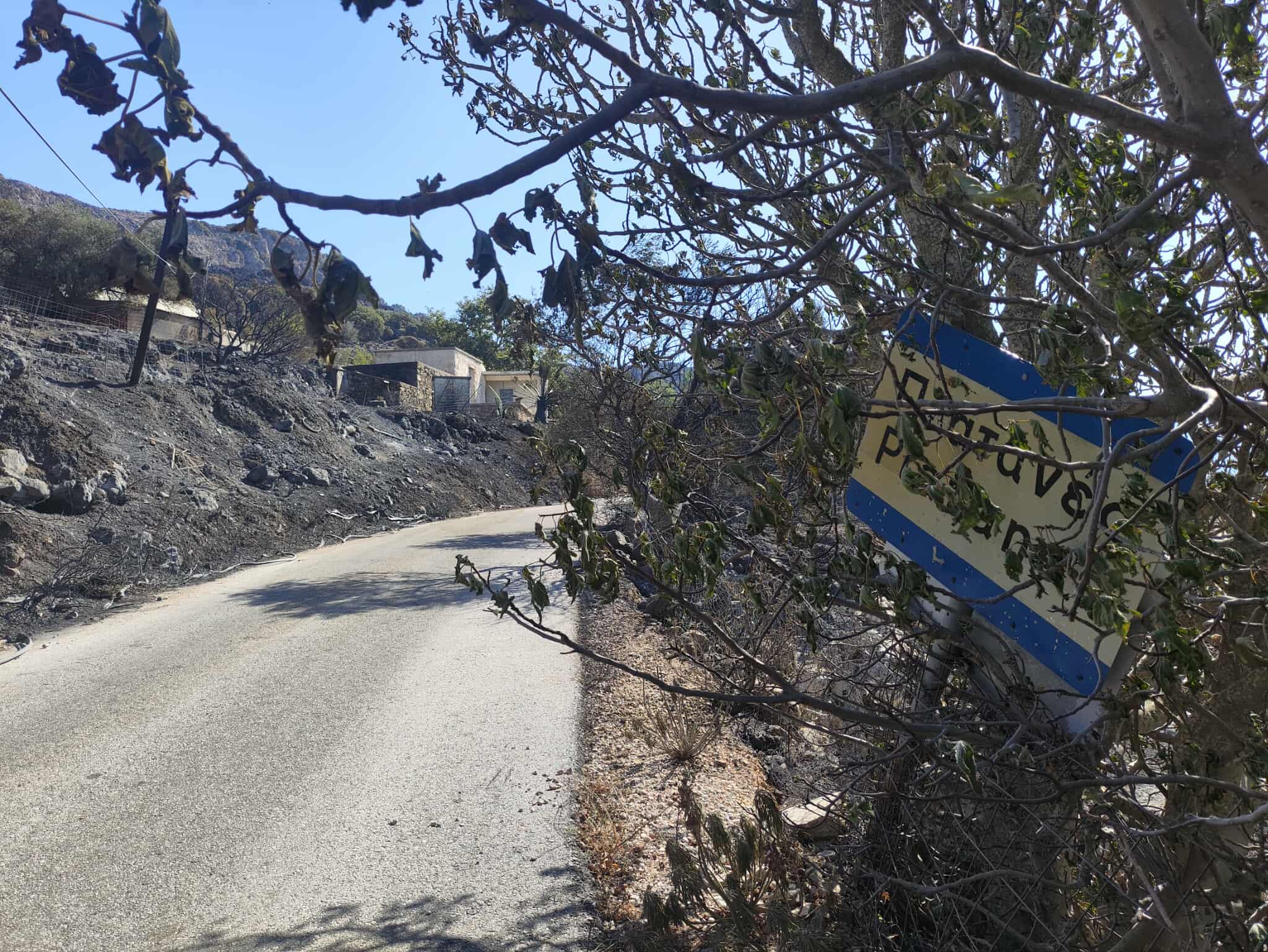 Αφεντυλές Σελίνου Χανίων: Τοπίο ολικής καταστροφής μετά τη φωτιά – Καμένα ζώα, μελίσσια και χαμένες περιουσίες