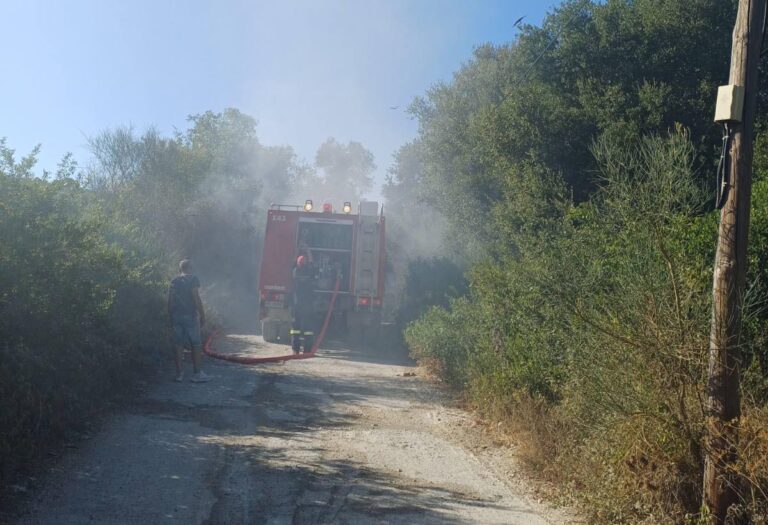 Κέρκυρα: Οριοθετήθηκε η φωτιά στα Βασιλικά