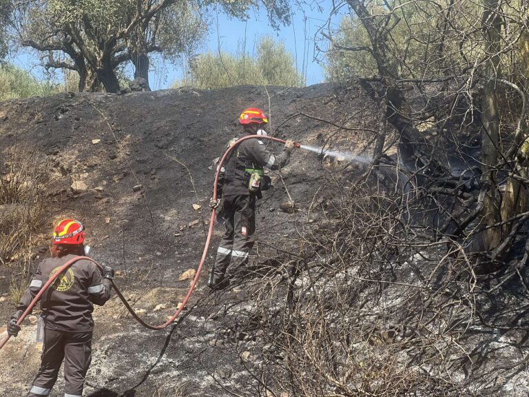Μεσσηνία: Υπό έλεγχο η μεγάλη πυρκαγιά στον Νερόμυλο – Κάηκαν περίπου 40 στρέμματα με ελαιόδεντρα