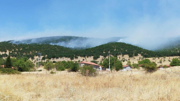 Ενισχύονται οι δυνάμεις πυρόσβεσης στα Λιβερά Κοζάνης – Πλησιάζει αργά η φωτιά το χωριό