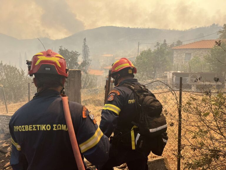 Φωτιά τώρα στη Μεσσηνία – Πλησιάζει το χωριό Αητός (βίντεο)