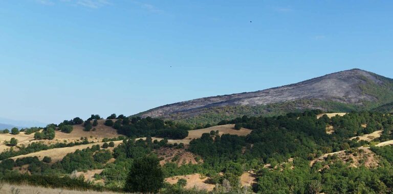 Βελτιωμένη εικόνα στη Σκαλα Δεσκάτης – Οριοθετήθηκε και το ανατολικό μέτωπο της πυρκαγιάς