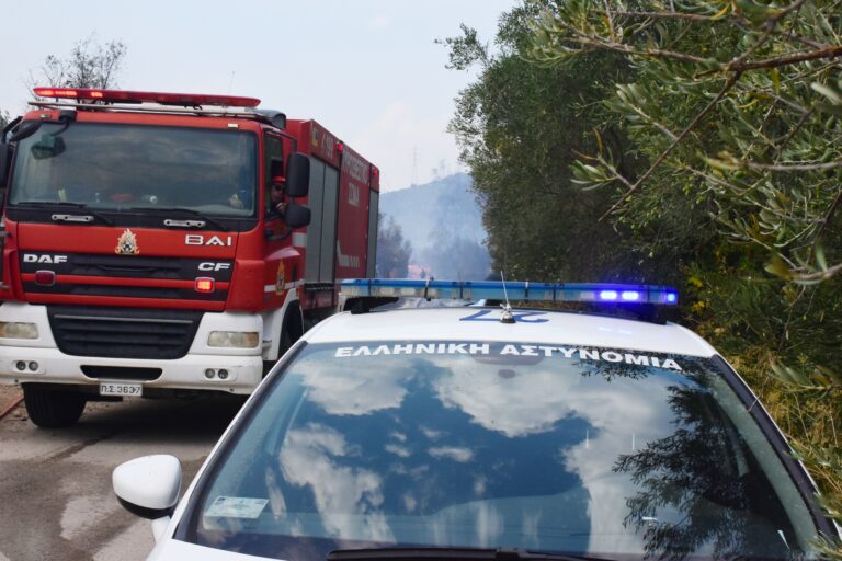 Σε επιφυλακή η Αστυνομία στο Κρυονέρι – Φόβοι για πλιάτσικο σε καμένα σπίτια